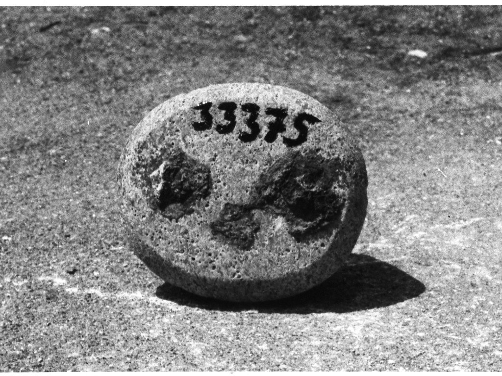 peso (non determinabile)