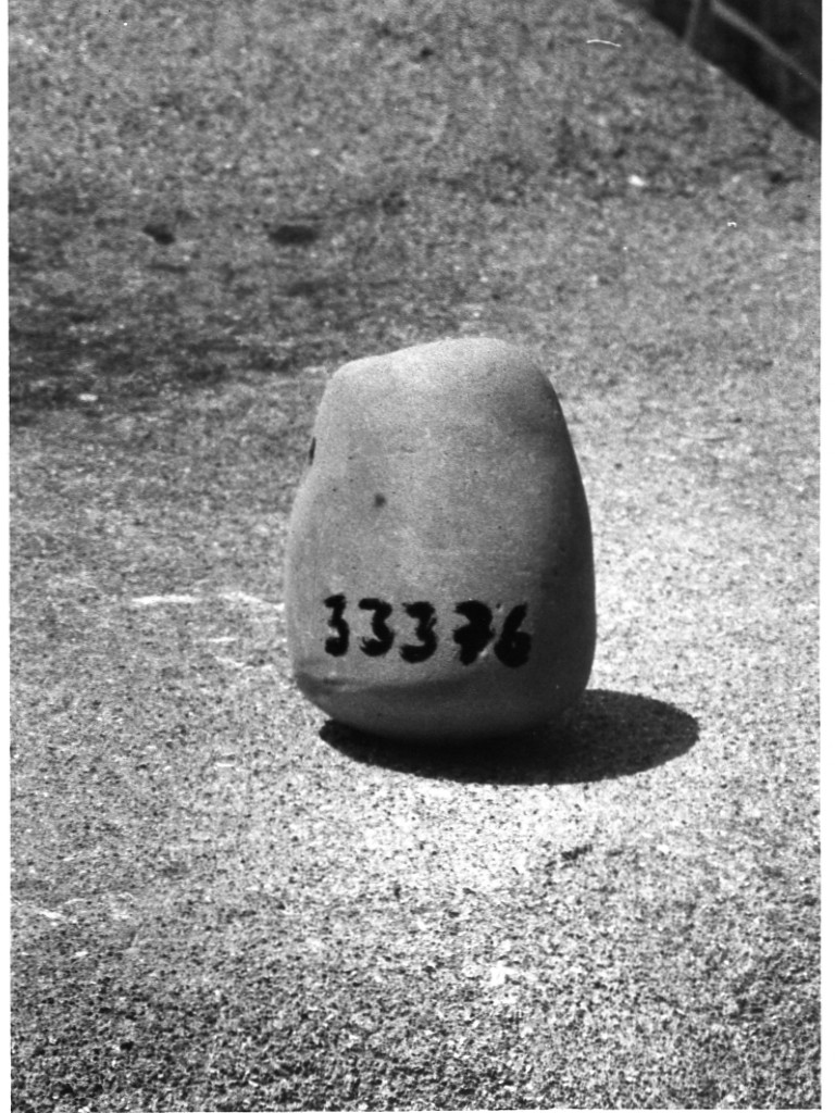 contrappeso (non determinabile)