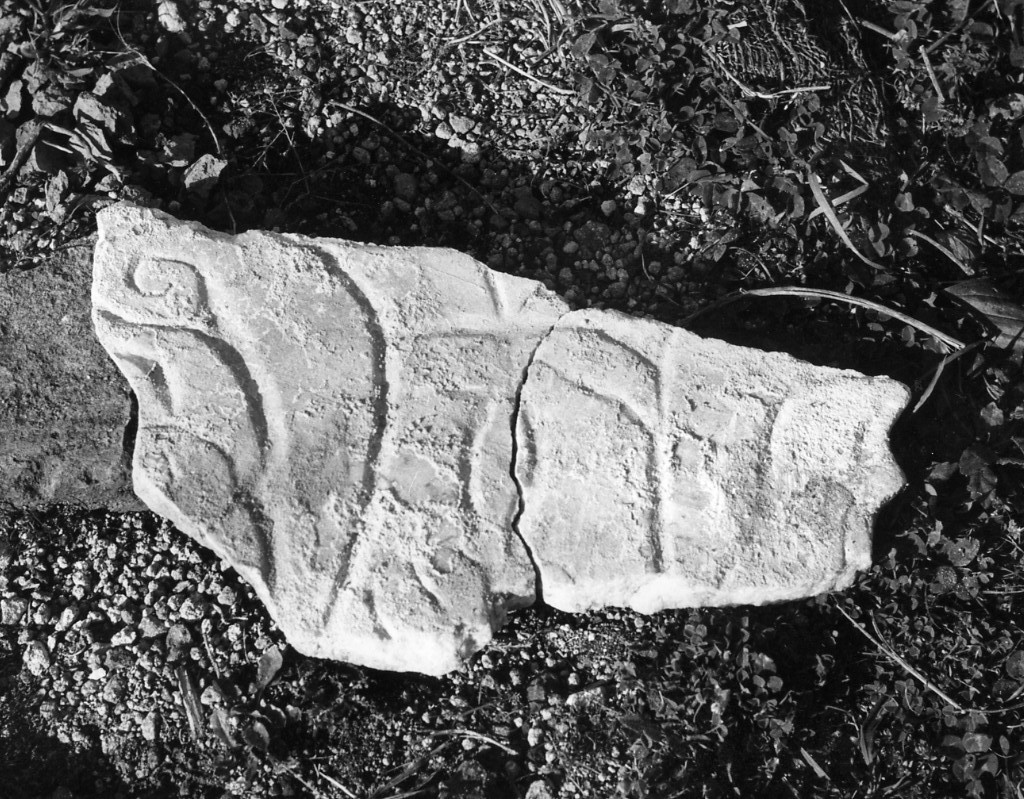 capitello di lesena (non determinabile)