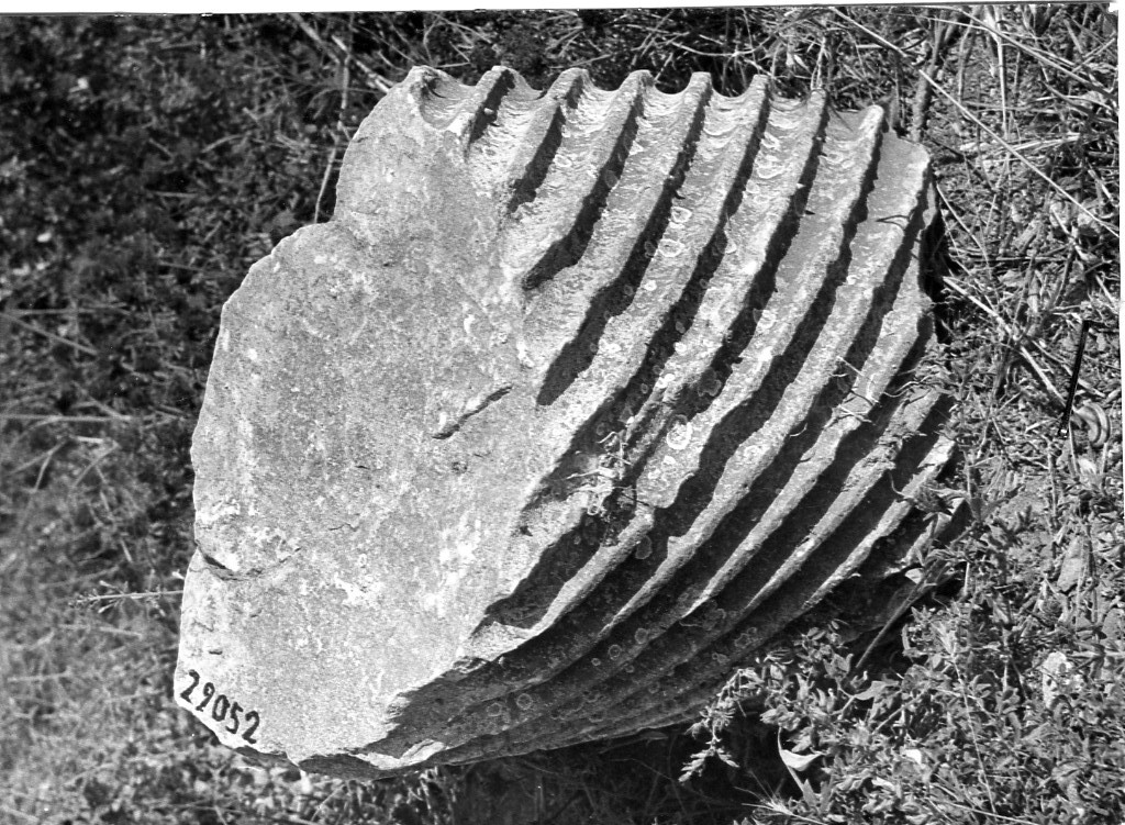 colonna (non determinabile)