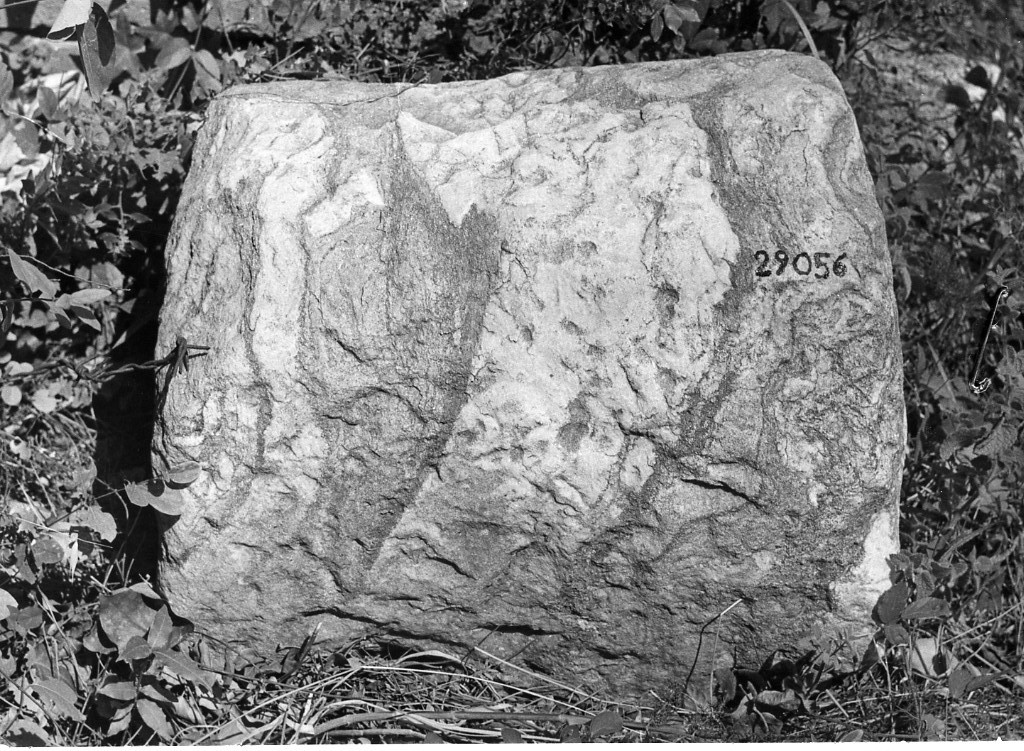 colonna (non determinabile)