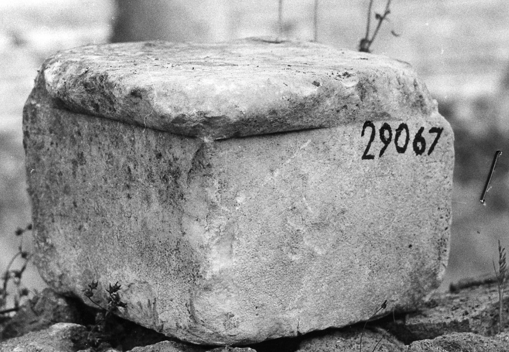 arula (non determinabile)