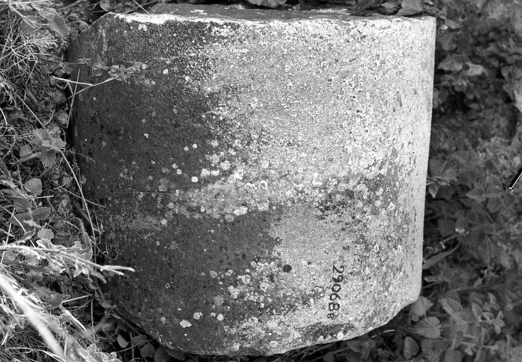 colonna (non determinabile)