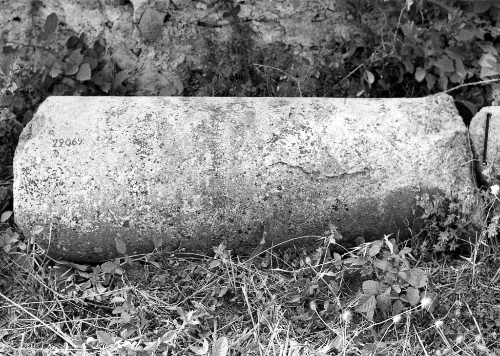 colonna (non determinabile)