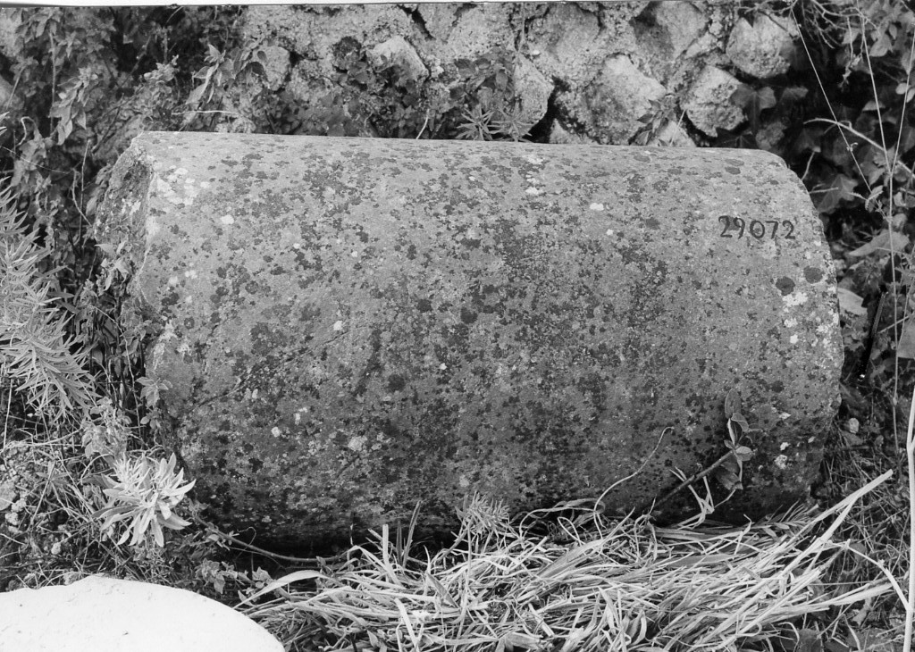 colonna (non determinabile)