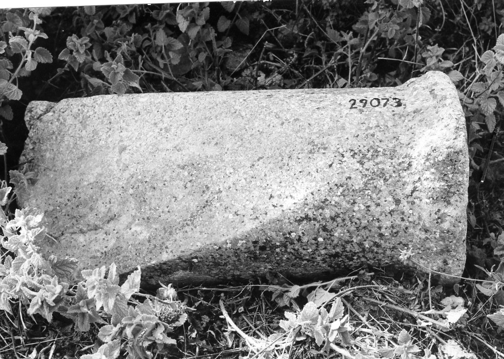 colonna (non determinabile)