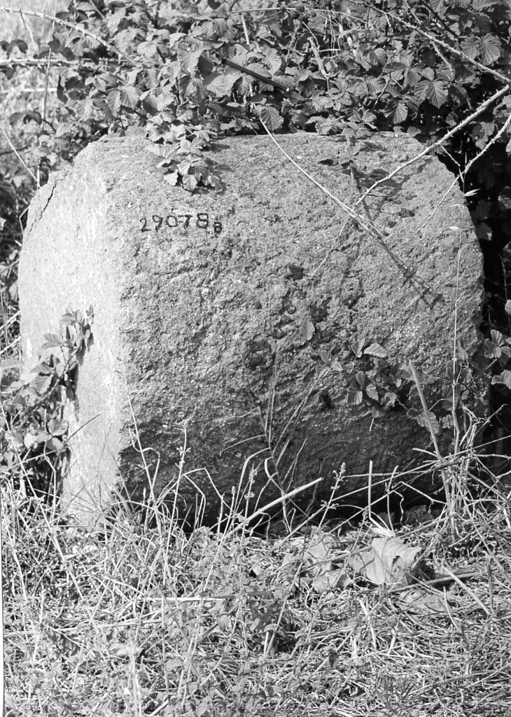 colonna (non determinabile)