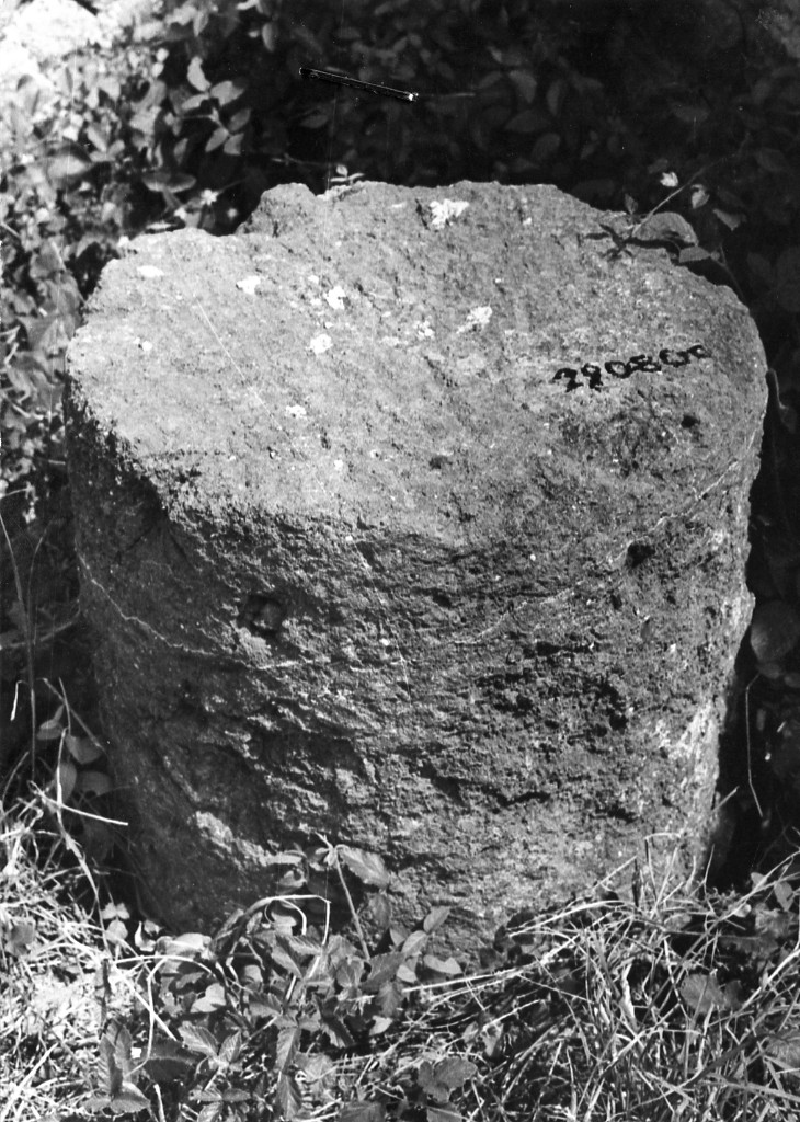 colonna (non determinabile)