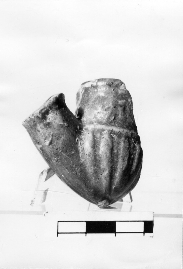 pipa (non determinabile)