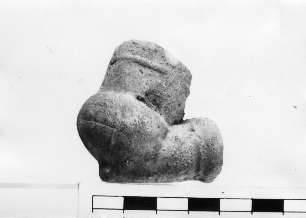 pipa (non determinabile)