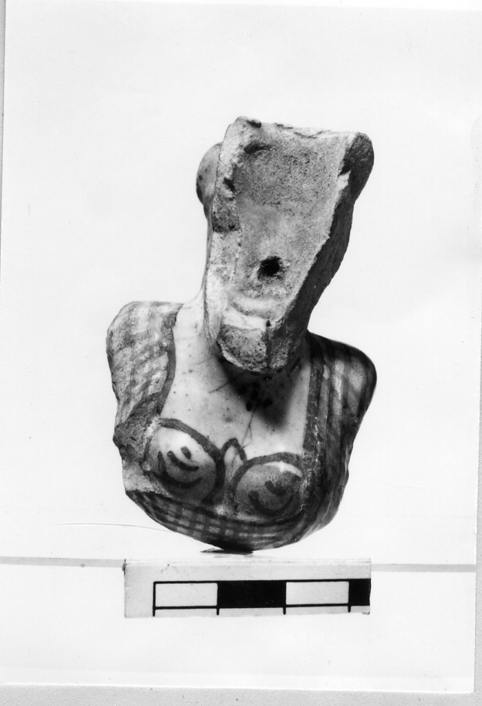 pipa (non determinabile)