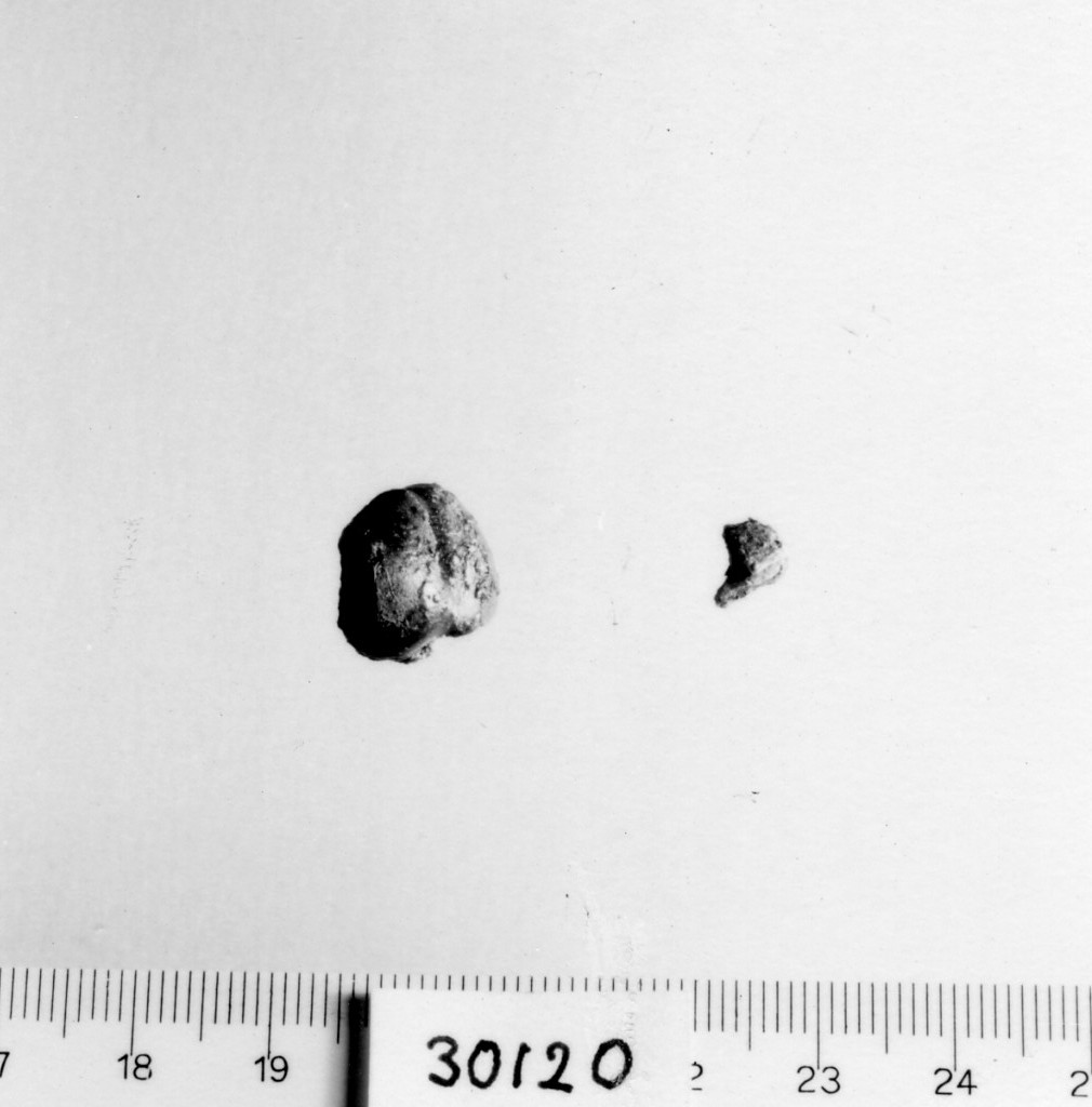 grano (prima metà sec. VII a.C)