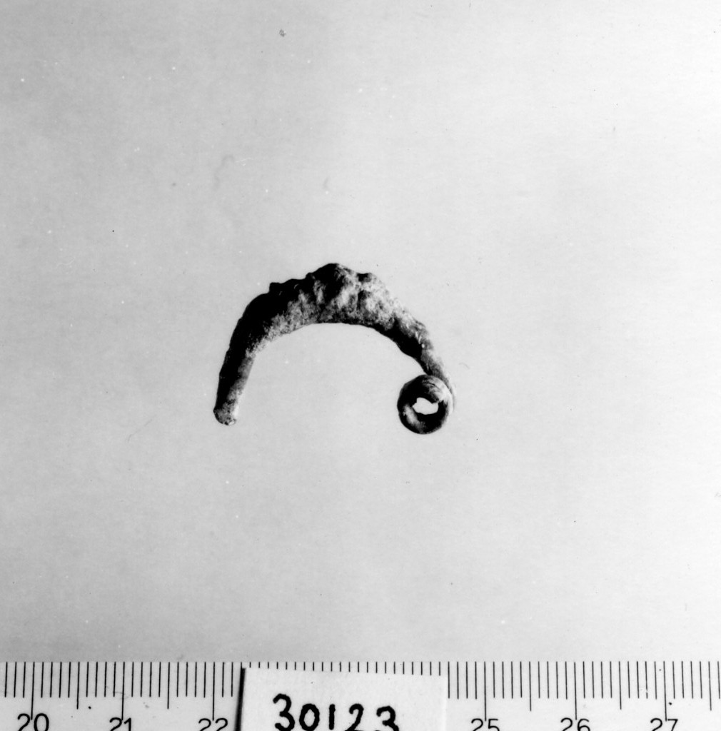 fibula a sanguisuga (prima metà sec. VII a.C)