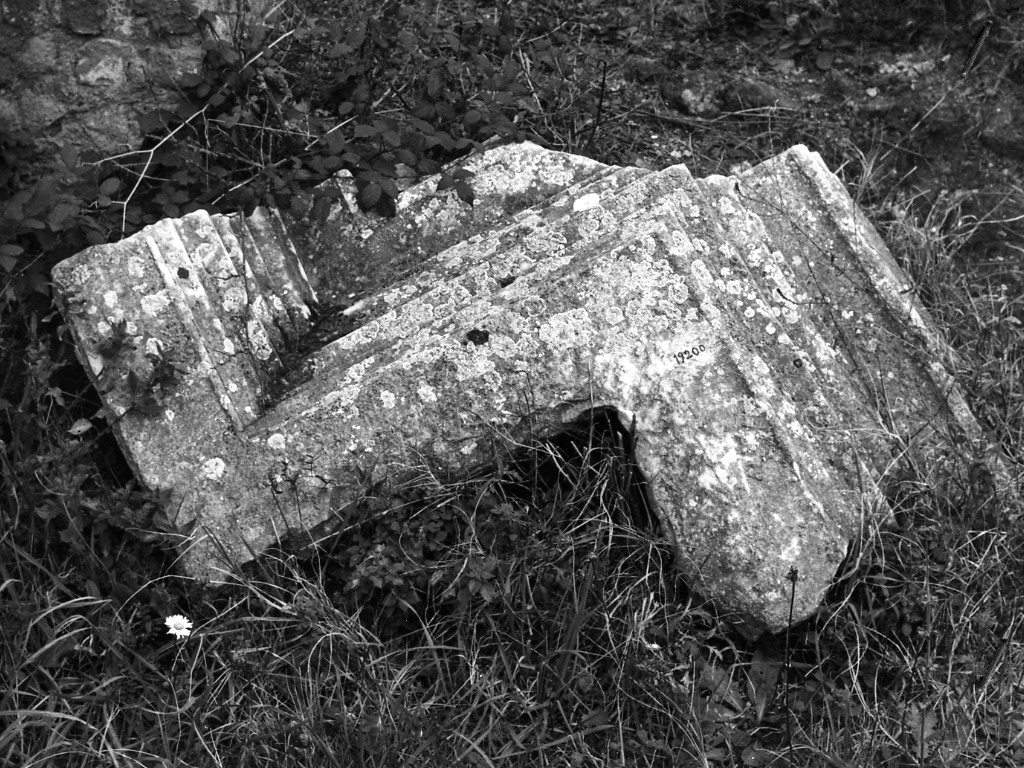 cornice (non determinabile)