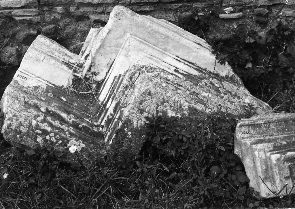 cornice (non determinabile)