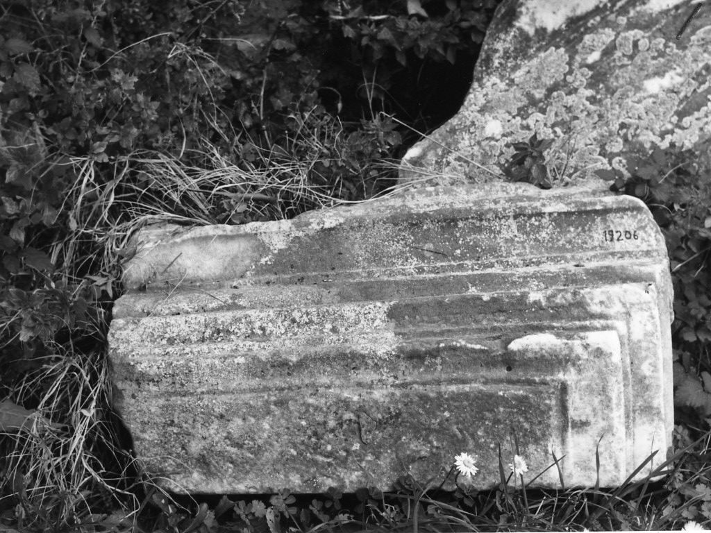 cornice (non determinabile)