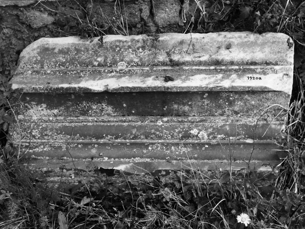 cornice (non determinabile)