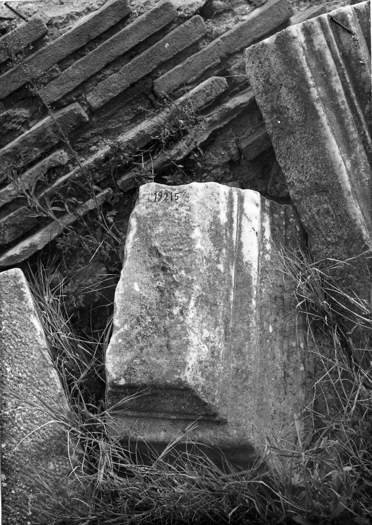 cornice (non determinabile)