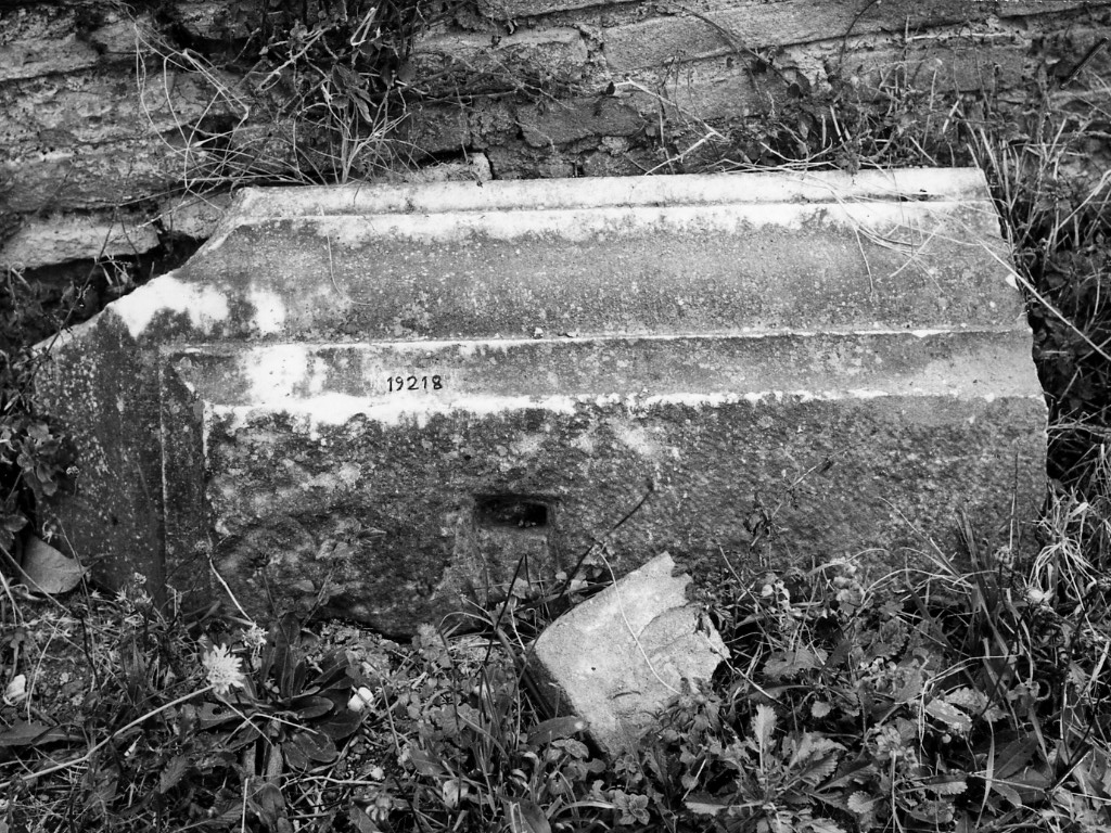 cornice (non determinabile)