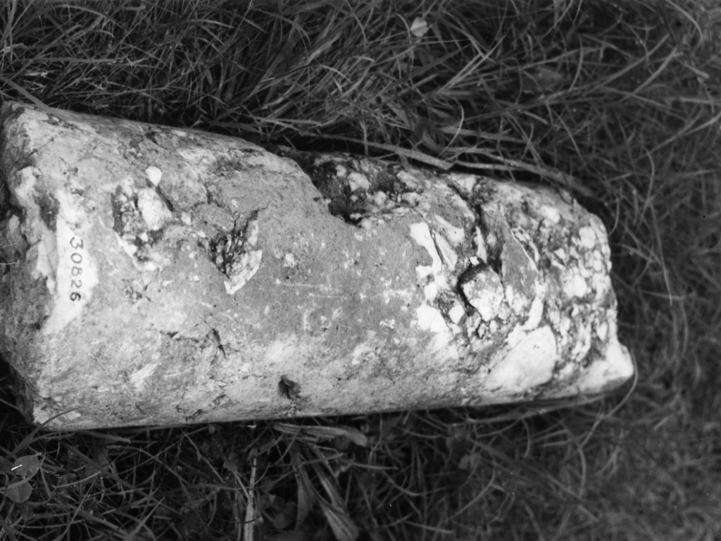 colonna (non determinabile)