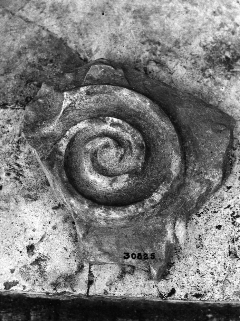 capitello di lesena (non determinabile)