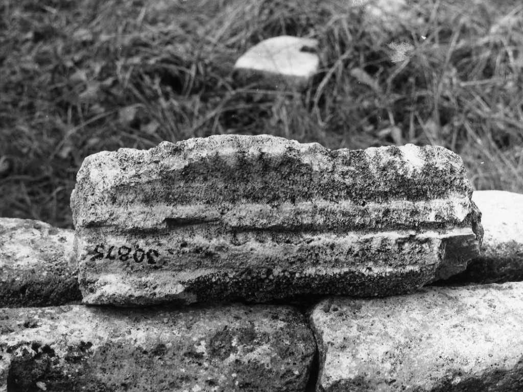 cornice (non determinabile)