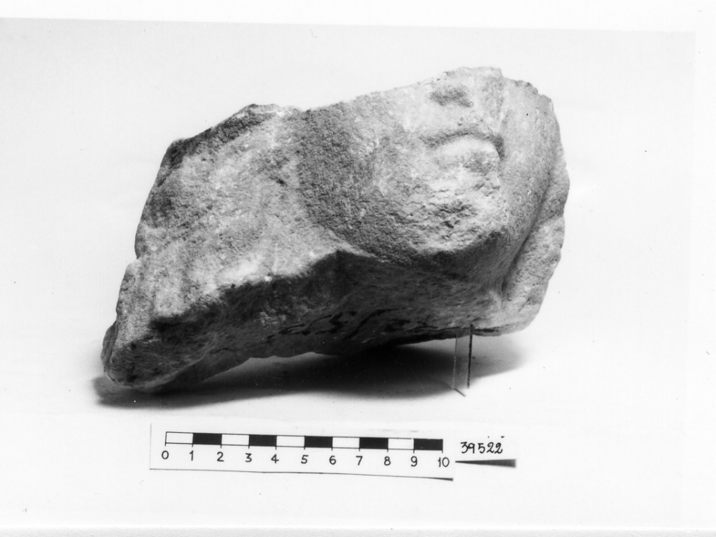 sarcofago (non determinabile)