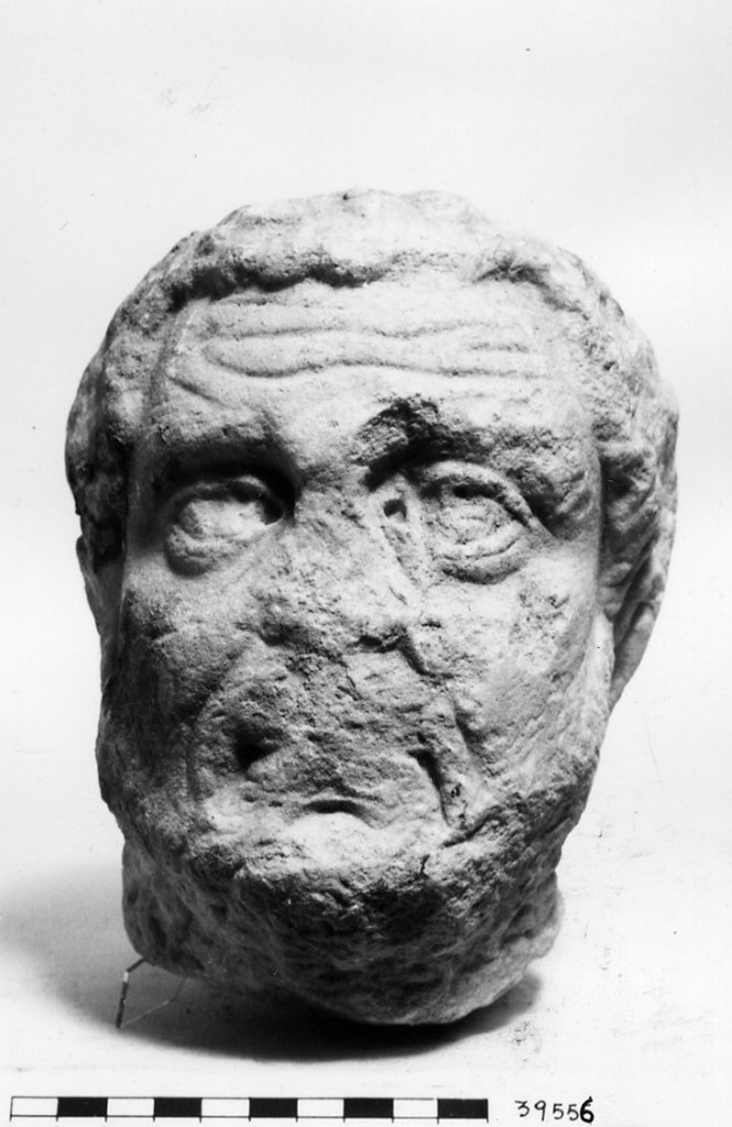 testa maschile (non determinabile)