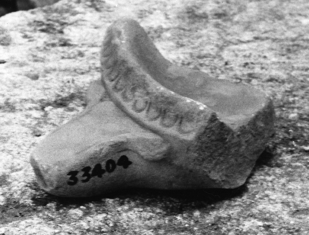 contenitore (non determinabile)