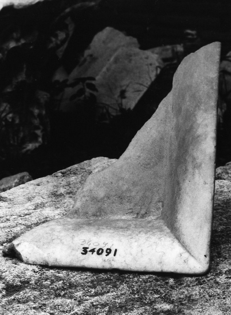 vaschetta (non determinabile)