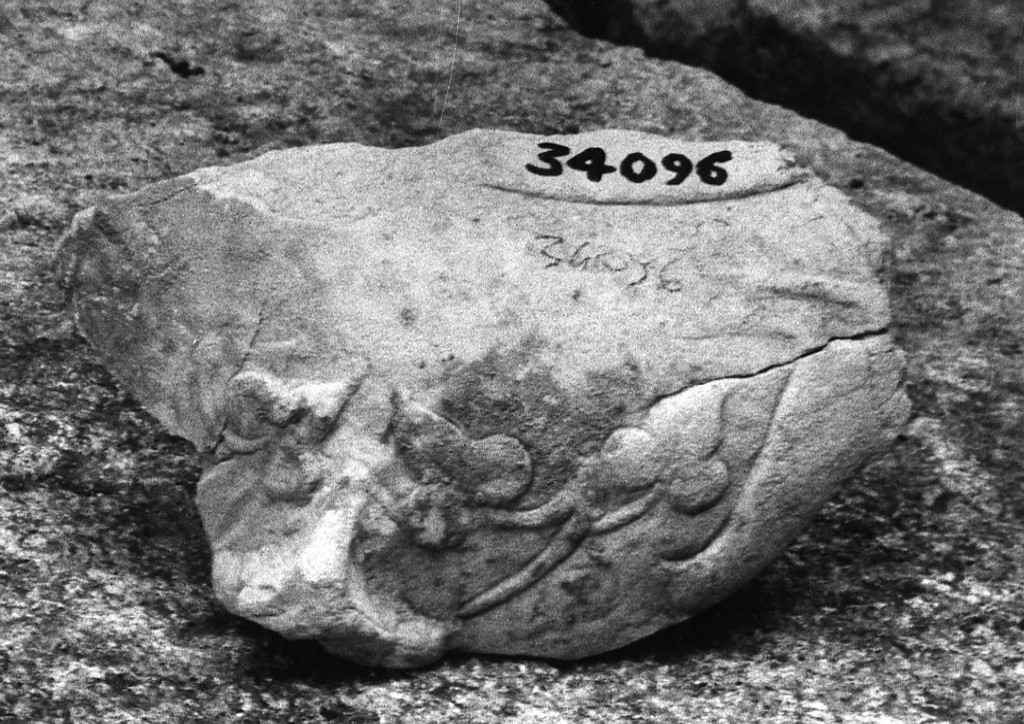 contenitore (non determinabile)