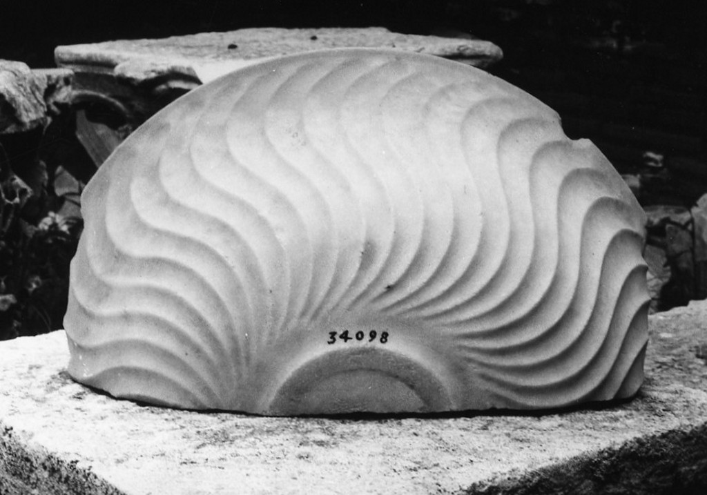 vaschetta (non determinabile)