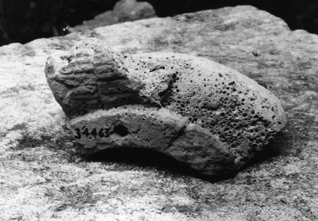 contenitore (non determinabile)