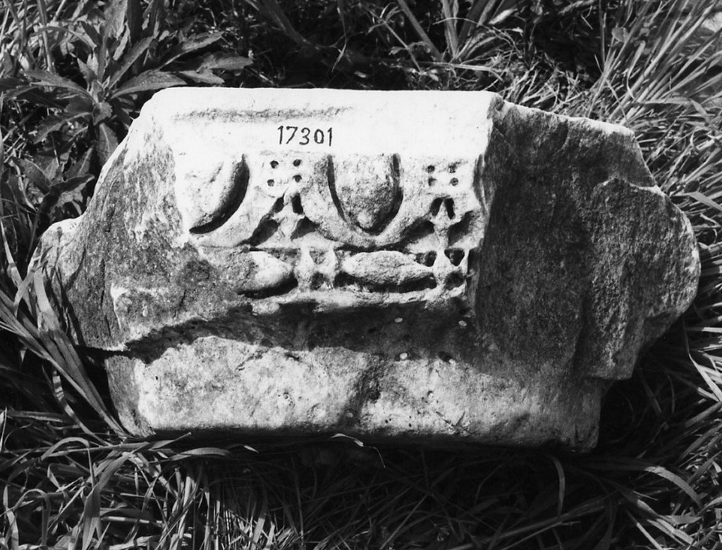 capitello ionico (non determinabile)