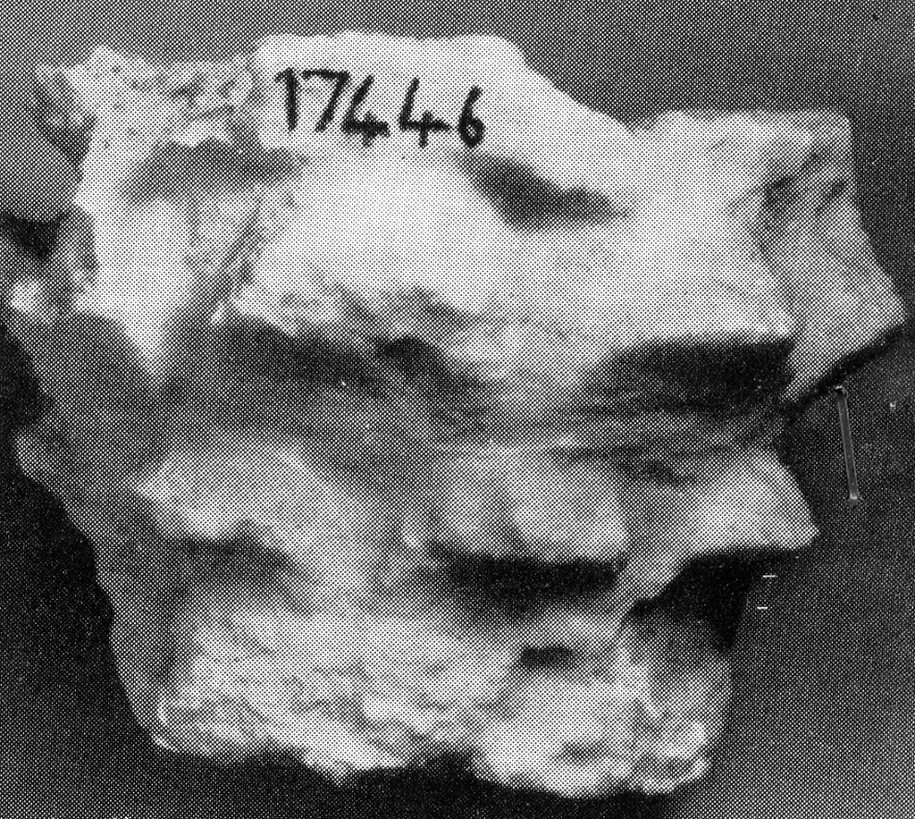 capitello (non determinabile)