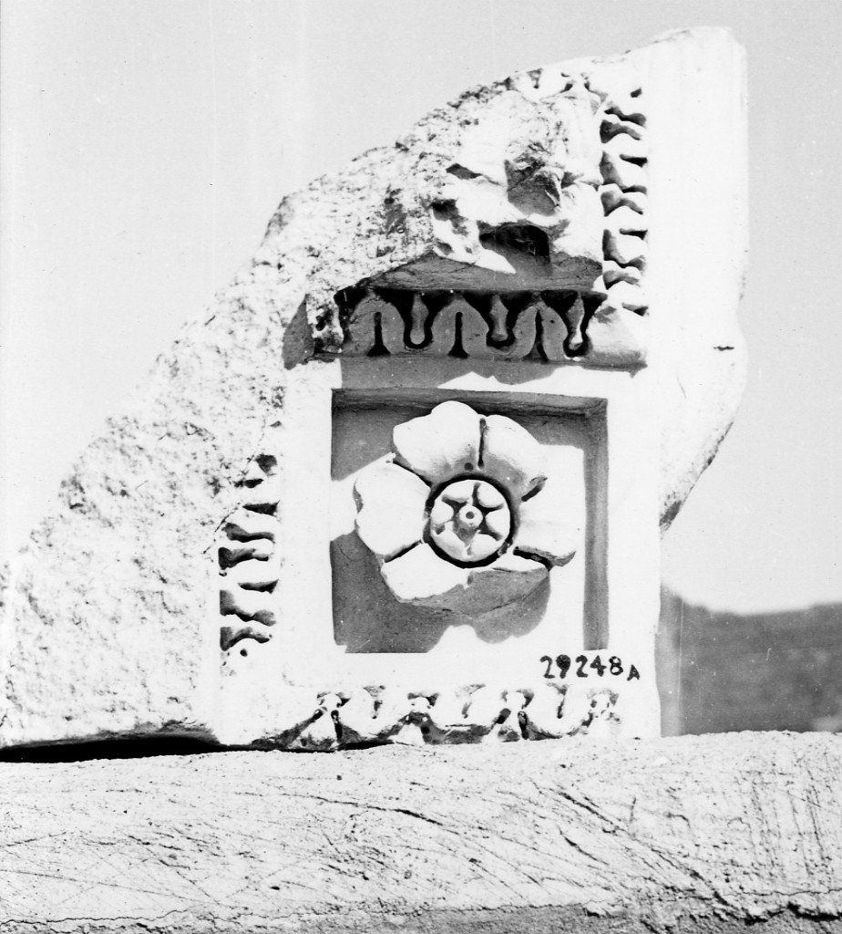 cornice (non determinabile)