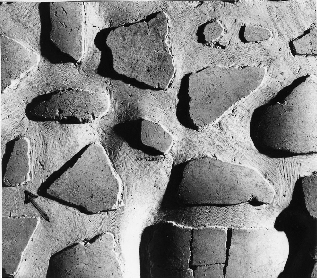 rivestimento parietale con graffito (secc. I d.C.-II d.C)