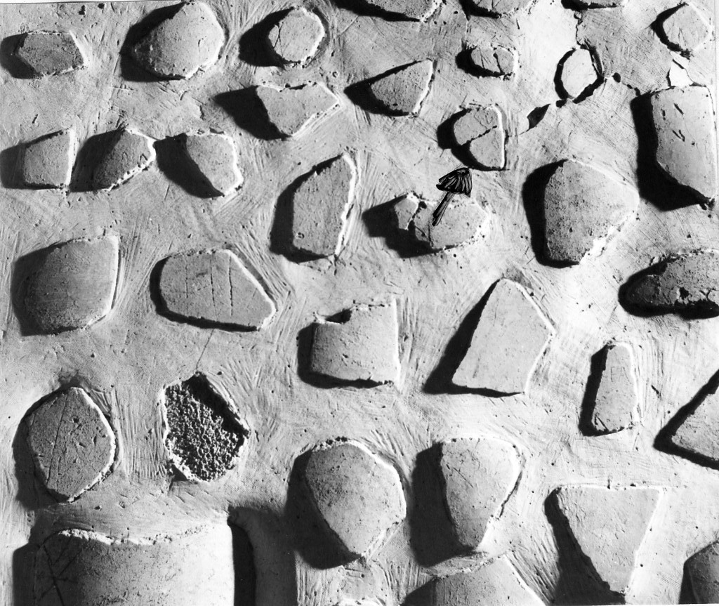 rivestimento parietale con graffito (secc. I d.C.-II d.C)