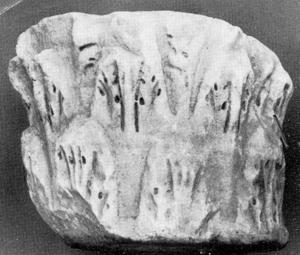 capitello composito (prima metà sec.III d.C)