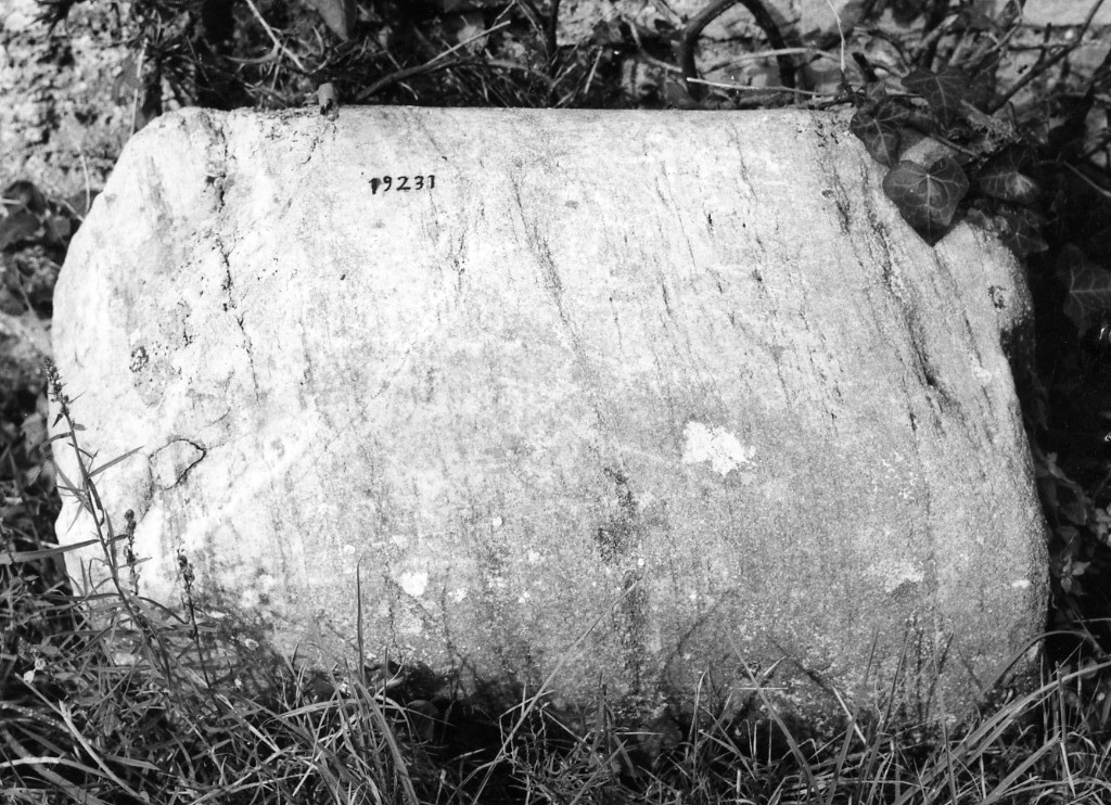 colonna (non determinabile)