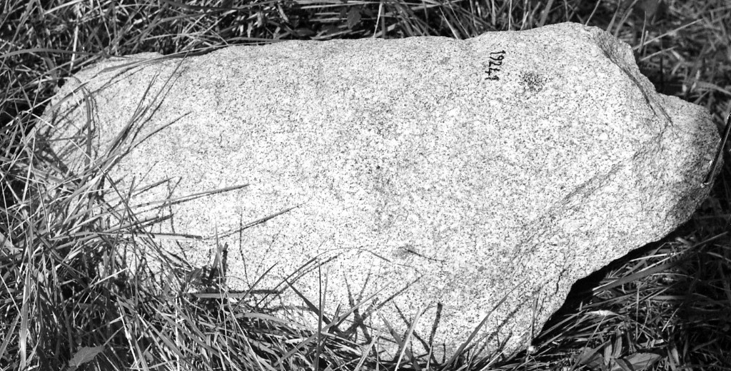 colonna (non determinabile)