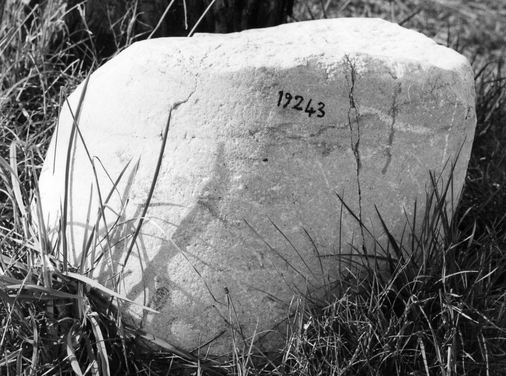 colonna (non determinabile)