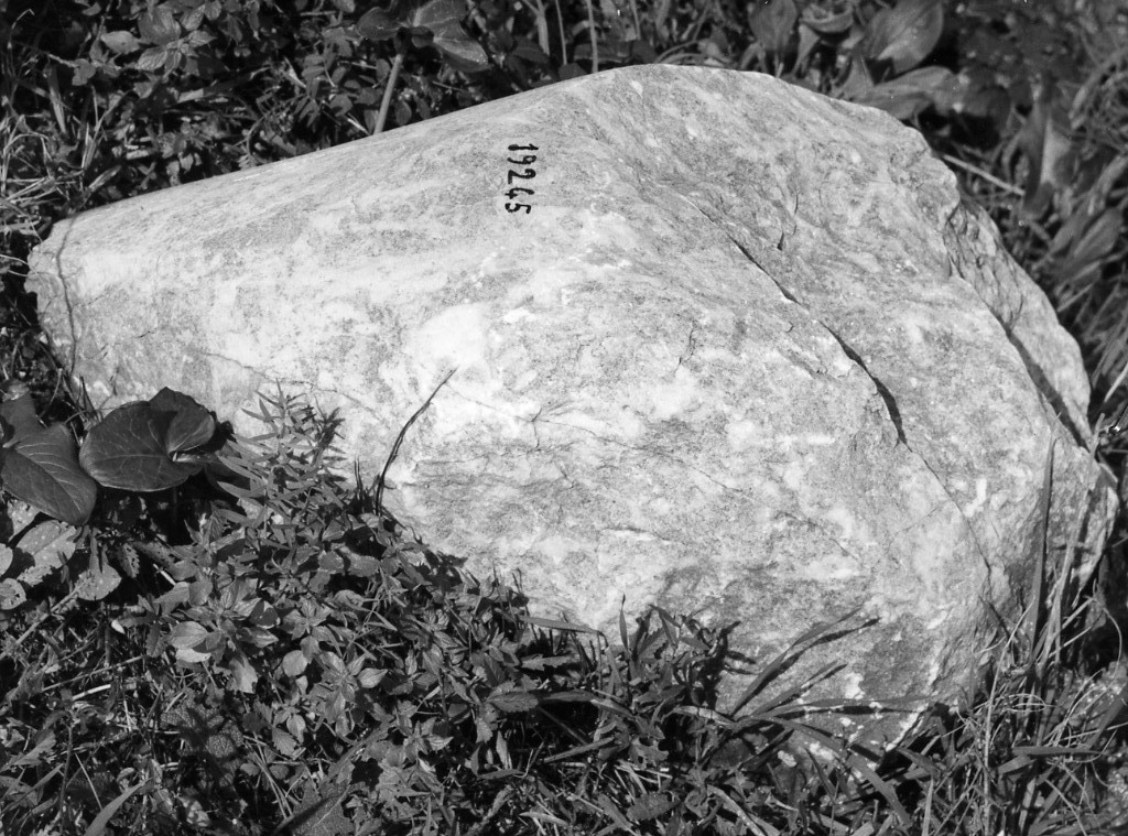 colonna (non determinabile)