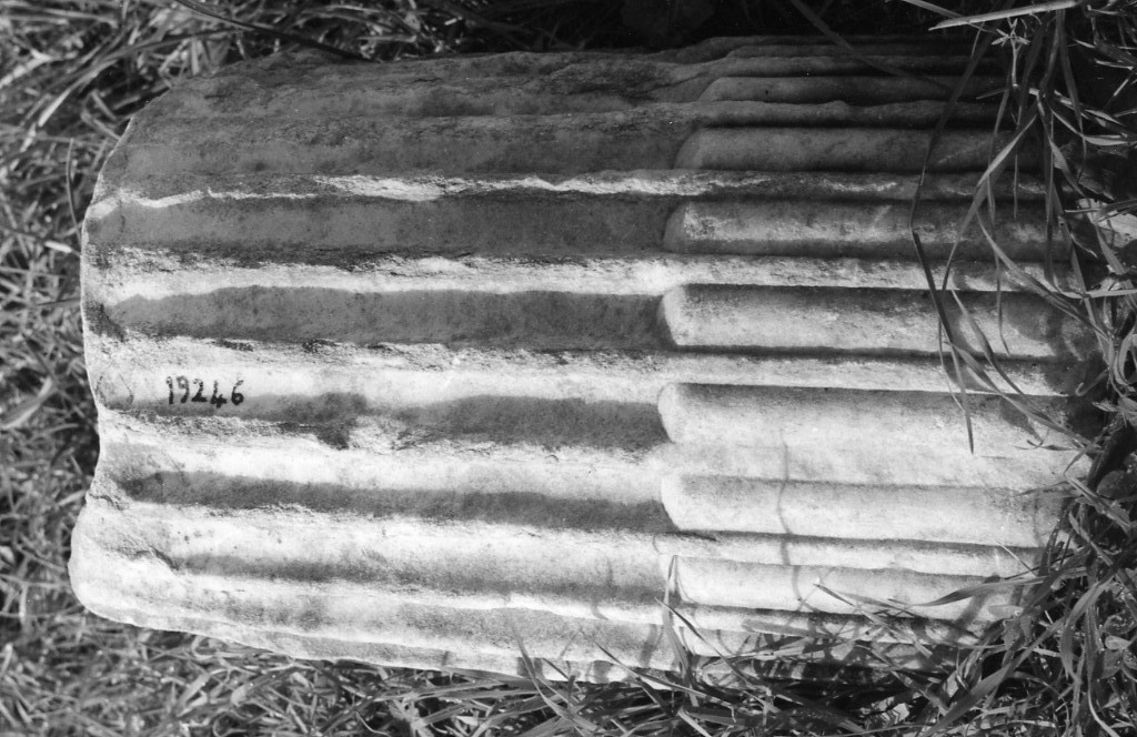 colonna (non determinabile)