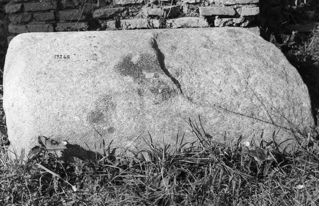 colonna (non determinabile)