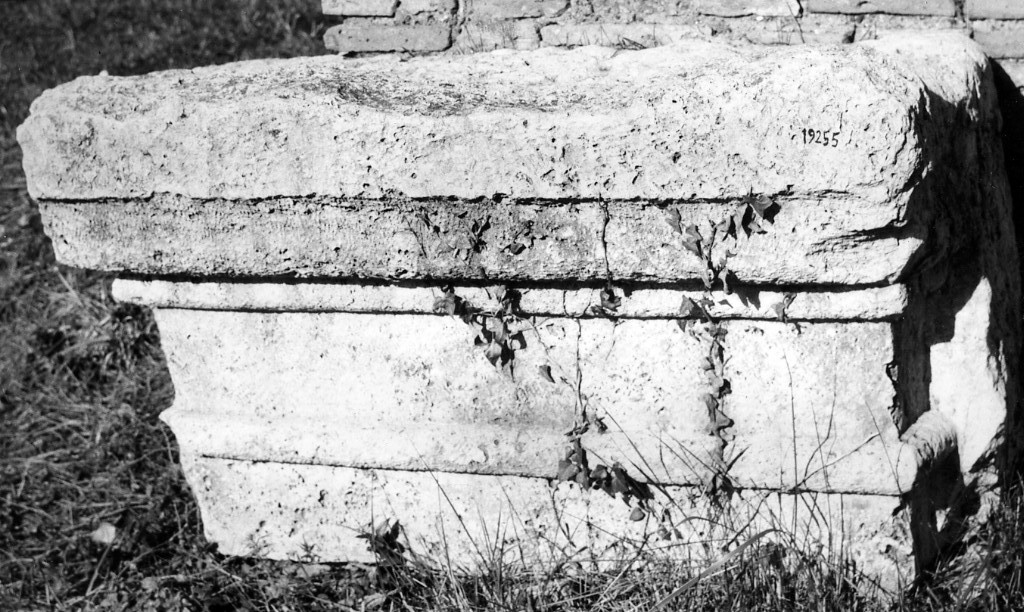 capitello di lesena (non determinabile)