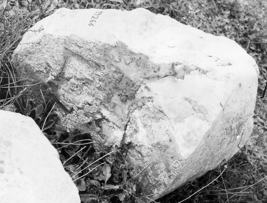 colonna (non determinabile)