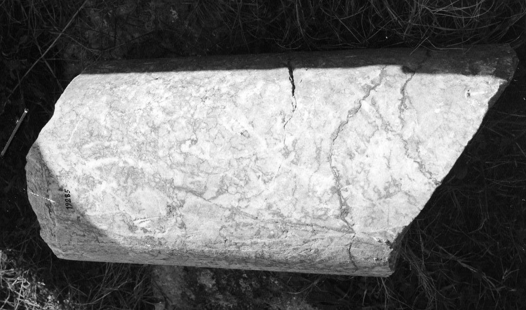 colonna (non determinabile)