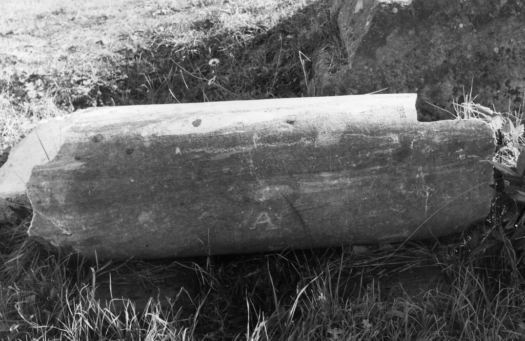 colonna (non determinabile)