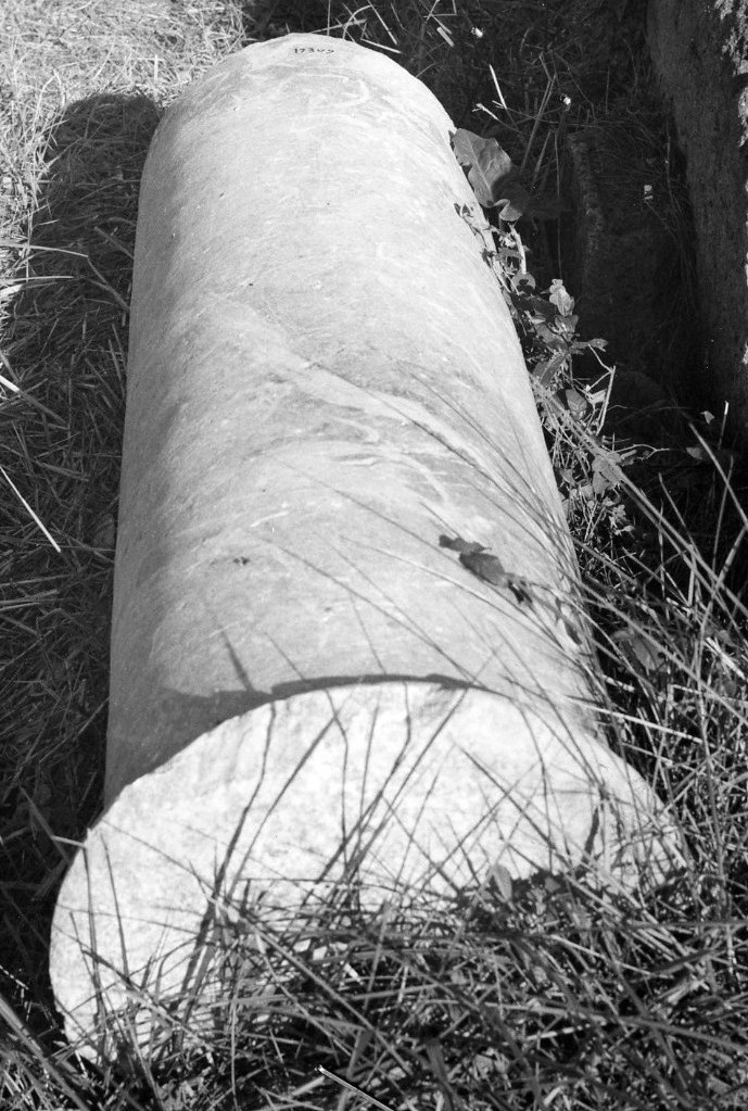 colonna (non determinabile)